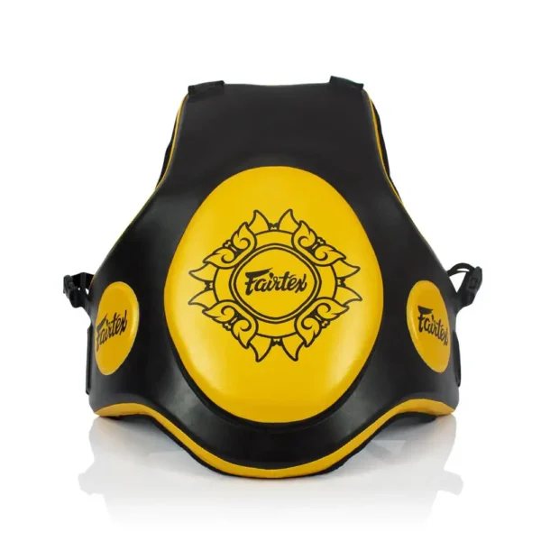 Fairtex TV2 Träningsbälte Svart/Guld